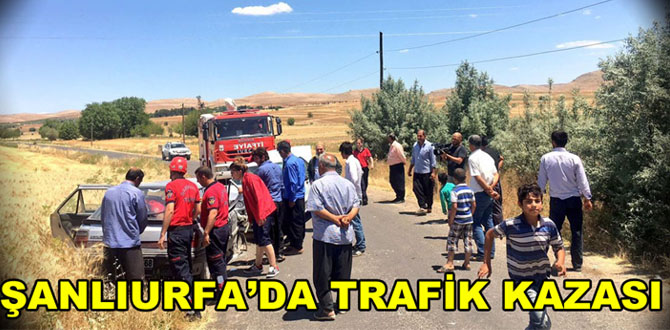 Şanlıurfa’da trafik kazası