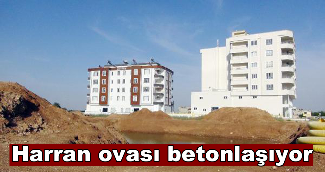 Harran Ovası betonlaşıyor