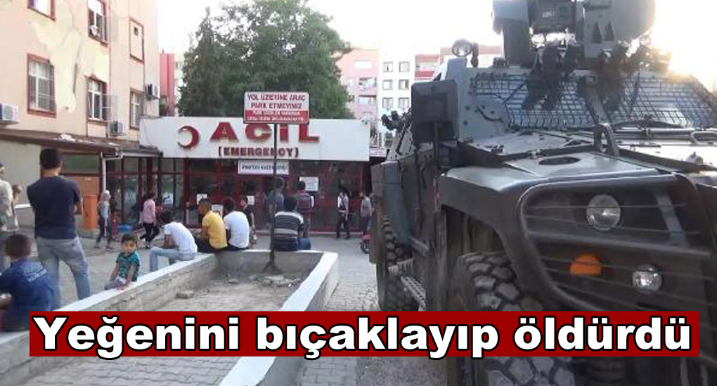 Yeğenini bıçaklayarak öldürdü