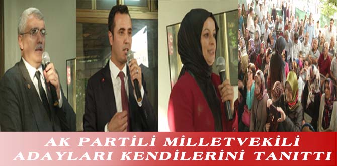 AK PARTİLİ MİLLETVEKİLİ ADAYLARI KENDİLERİNİ TANITTI