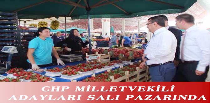 CHP MİLLETVEKİLİ ADAYLARI SALI PAZARINDA