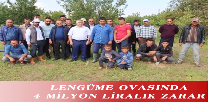 LENGÜME OVASINDA 4 MİLYON LİRALIK ZARAR