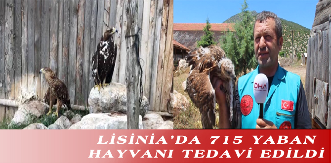 LİSİNİA’DA 715 YABAN HAYVANI TEDAVİ EDİLDİ