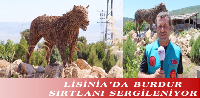 LİSİNİA’DA BURDUR SIRTLANI SERGİLENİYOR