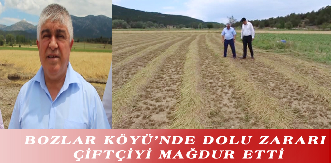 BOZLAR KÖYÜ’NDE DOLU ZARARI ÇİFTÇİYİ MAĞDUR ETTİ