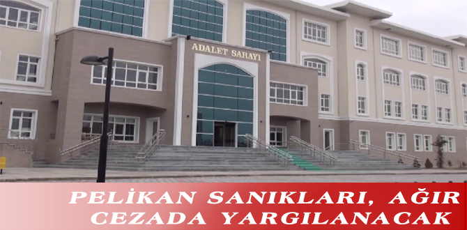 PELİKAN SANIKLARI, AĞIR CEZADA YARGILANACAK