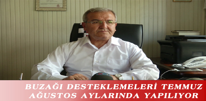 BUZAĞI DESTEKLEMELERİ TEMMUZ-AĞUSTOS AYLARINDA YAPILIYOR