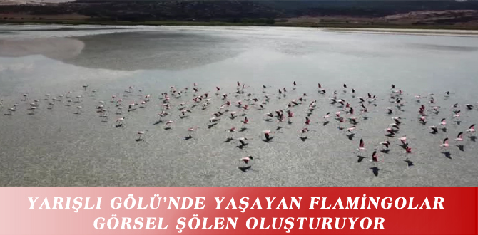 YARIŞLI GÖLÜ’NDE YAŞAYAN FLAMİNGOLAR GÖRSEL ŞÖLEN OLUŞTURUYOR