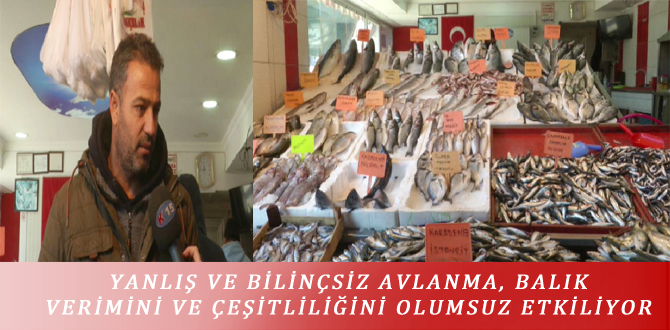 YANLIŞ VE BİLİNÇSİZ AVLANMA, BALIK VERİMİNİ VE ÇEŞİTLİLİĞİNİ OLUMSUZ ETKİLİYOR