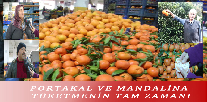 PORTAKAL VE MANDALİNA TÜKETMENİN TAM ZAMANI