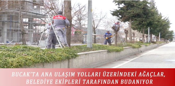 BUCAK’TA ANA ULAŞIM YOLLARI ÜZERİNDEKİ AĞAÇLAR, BELEDİYE EKİPLERİ TARAFINDAN BUDANIYOR