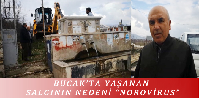 BUCAK’TA YAŞANAN SALGININ NEDENİ “NOROVİRUS”