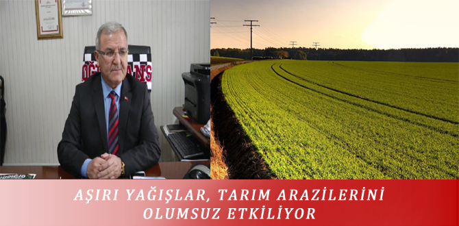 AŞIRI YAĞIŞLAR, TARIM ARAZİLERİNİ OLUMSUZ ETKİLİYOR