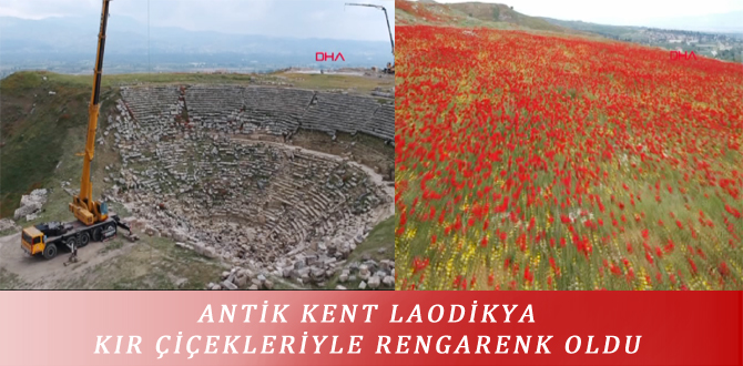 ANTİK KENT LAODİKYA KIR ÇİÇEKLERİYLE RENGARENK OLDU