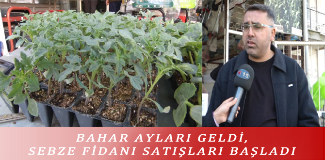 BAHAR AYLARI GELDİ, SEBZE FİDANI SATIŞLARI BAŞLADI