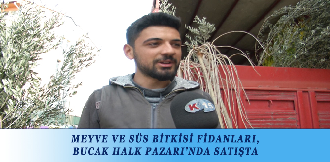 MEYVE VE SÜS BİTKİSİ FİDANLARI, BUCAK HALK PAZARINDA SATIŞTA