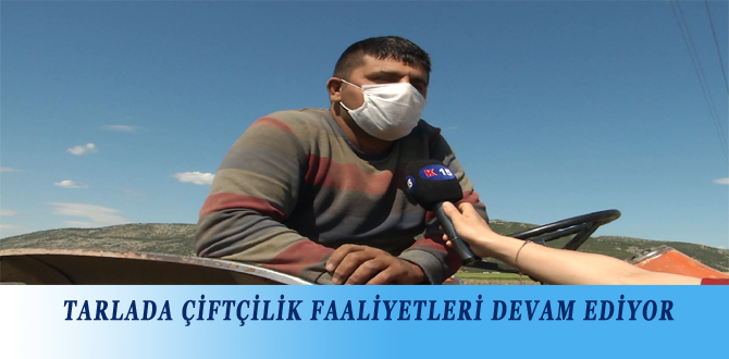 TARLADA ÇİFTÇİLİK FAALİYETLERİ DEVAM EDİYOR