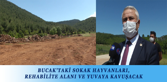 BUCAK’TAKİ SOKAK HAYVANLARI, REHABİLİTE ALANI VE YUVAYA KAVUŞACAK