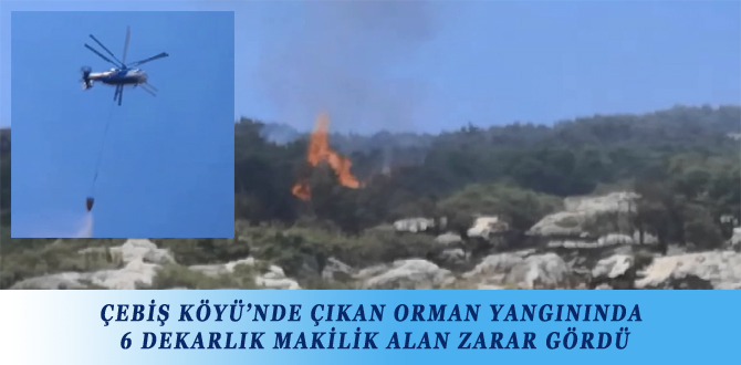 ÇEBİŞ KÖYÜ’NDE ÇIKAN ORMAN YANGININDA 6 DEKARLIK MAKİLİK ALAN ZARAR GÖRDÜ