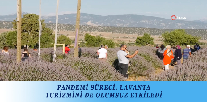 PANDEMİ SÜRECİ, LAVANTA TURİZMİNİ DE OLUMSUZ ETKİLEDİ