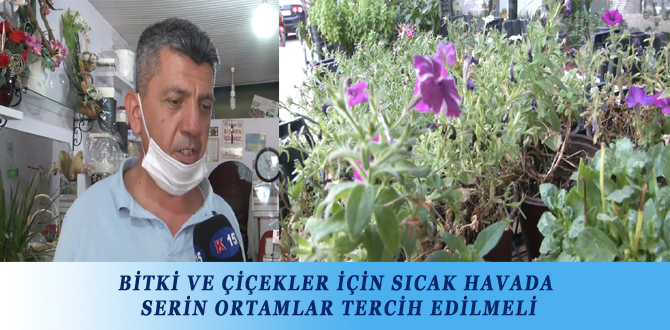 BİTKİ VE ÇİÇEKLER İÇİN SICAK HAVADA SERİN ORTAMLAR TERCİH EDİLMELİ