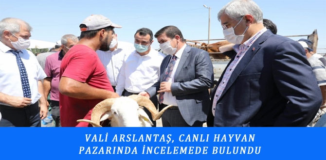 VALİ ARSLANTAŞ, CANLI HAYVAN PAZARINDA İNCELEMEDE BULUNDU