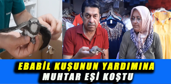 EBABİL KUŞUNUN YARDIMINA MUHTAR EŞİ KOŞTU