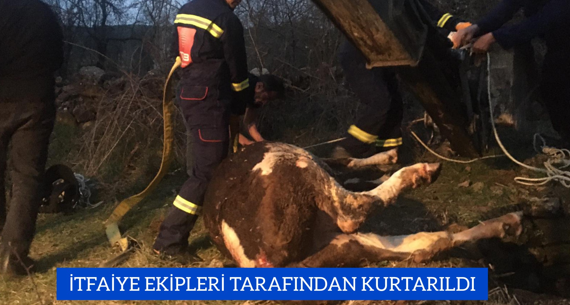 İTFAİYE EKİPLERİ TARAFINDAN KURTARILDI