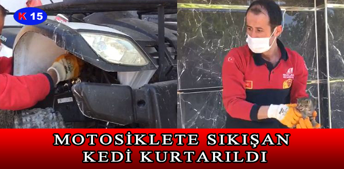 MOTOSİKLETE SIKIŞAN KEDİ KURTARILDI