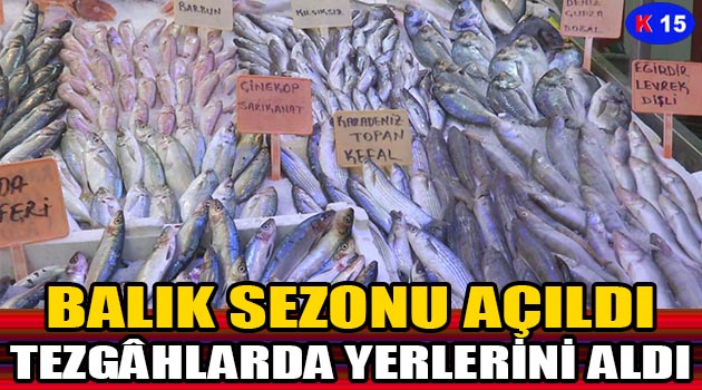 BALIK AV SEZONU AÇILDI, BALIK ÇEŞİTLERİ TEZGÂHLARDA YERİNİ ALDI