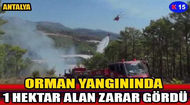 ORMAN YANGININDA 1 HEKTAR ALAN ZARAR GÖRDÜ